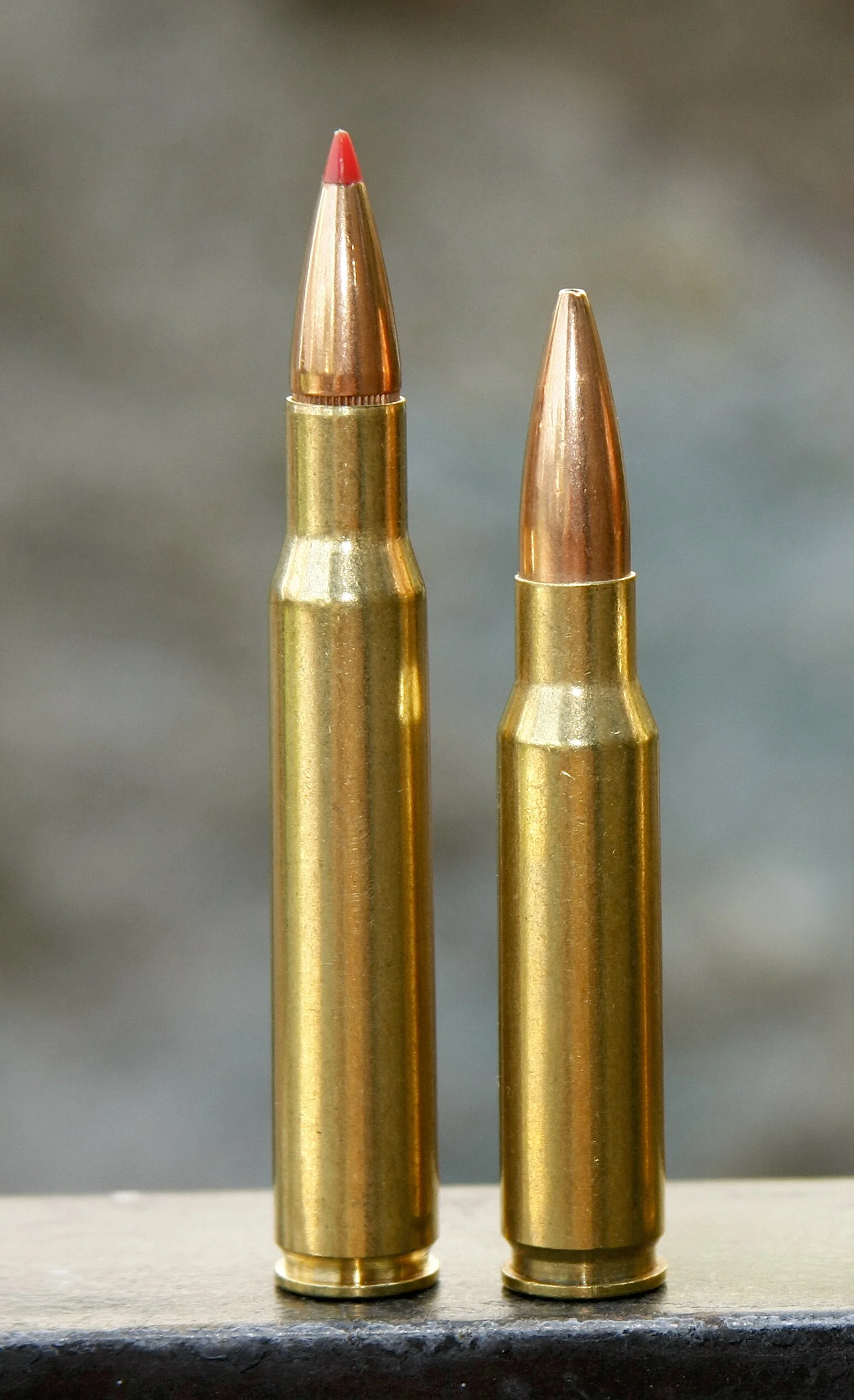 308 Winchester Myths and Magic — Ron Spomer Outdoors